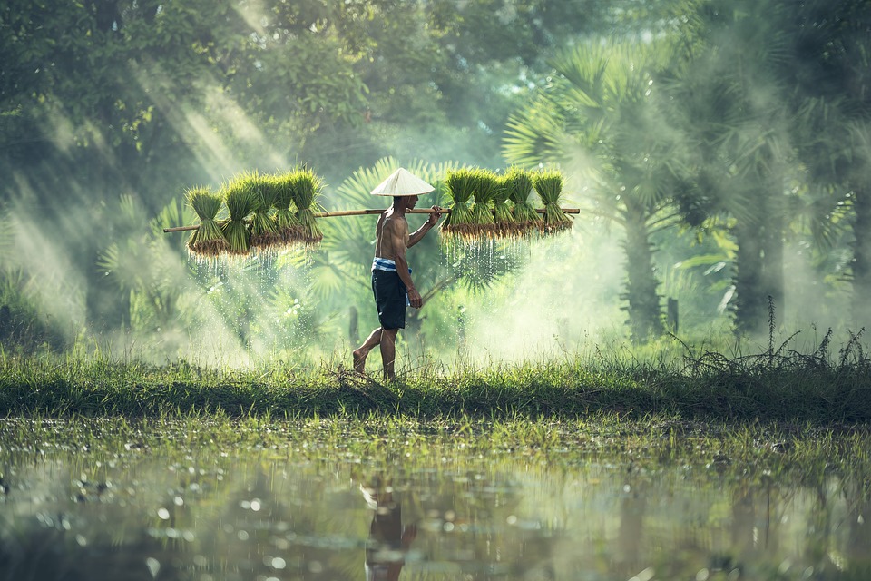 Vientiane bytur